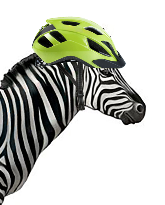 Placeholder Picture